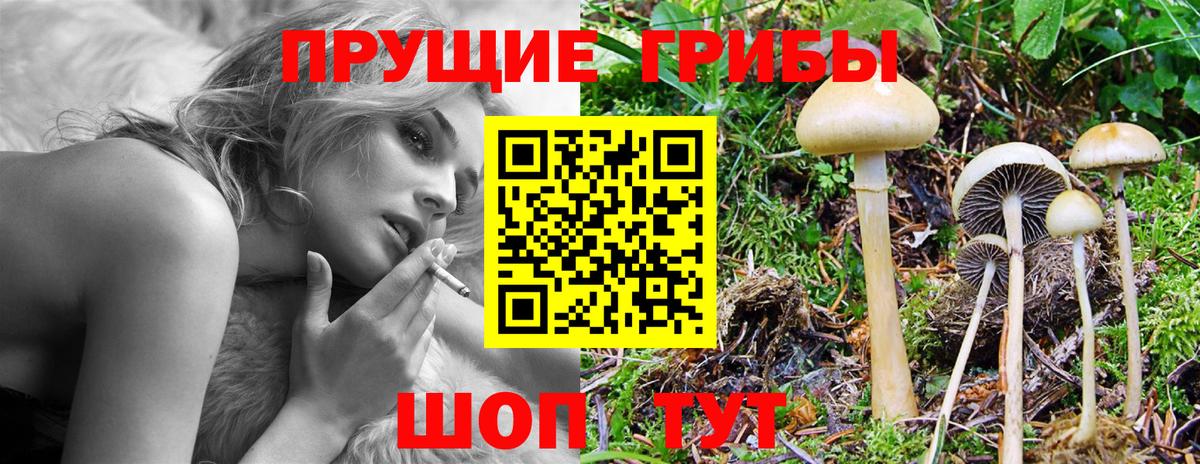 наркота  Вход с VPN  Александров  Псилоцибиновые грибы прущие грибы 