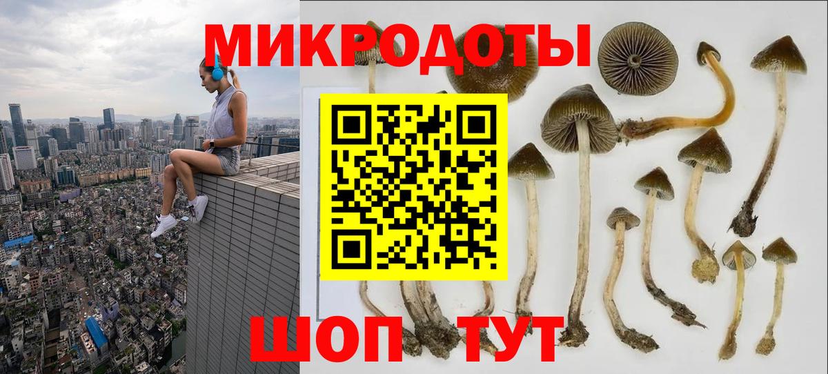 Галлюциногенные грибы Psilocybine cubensis Александров